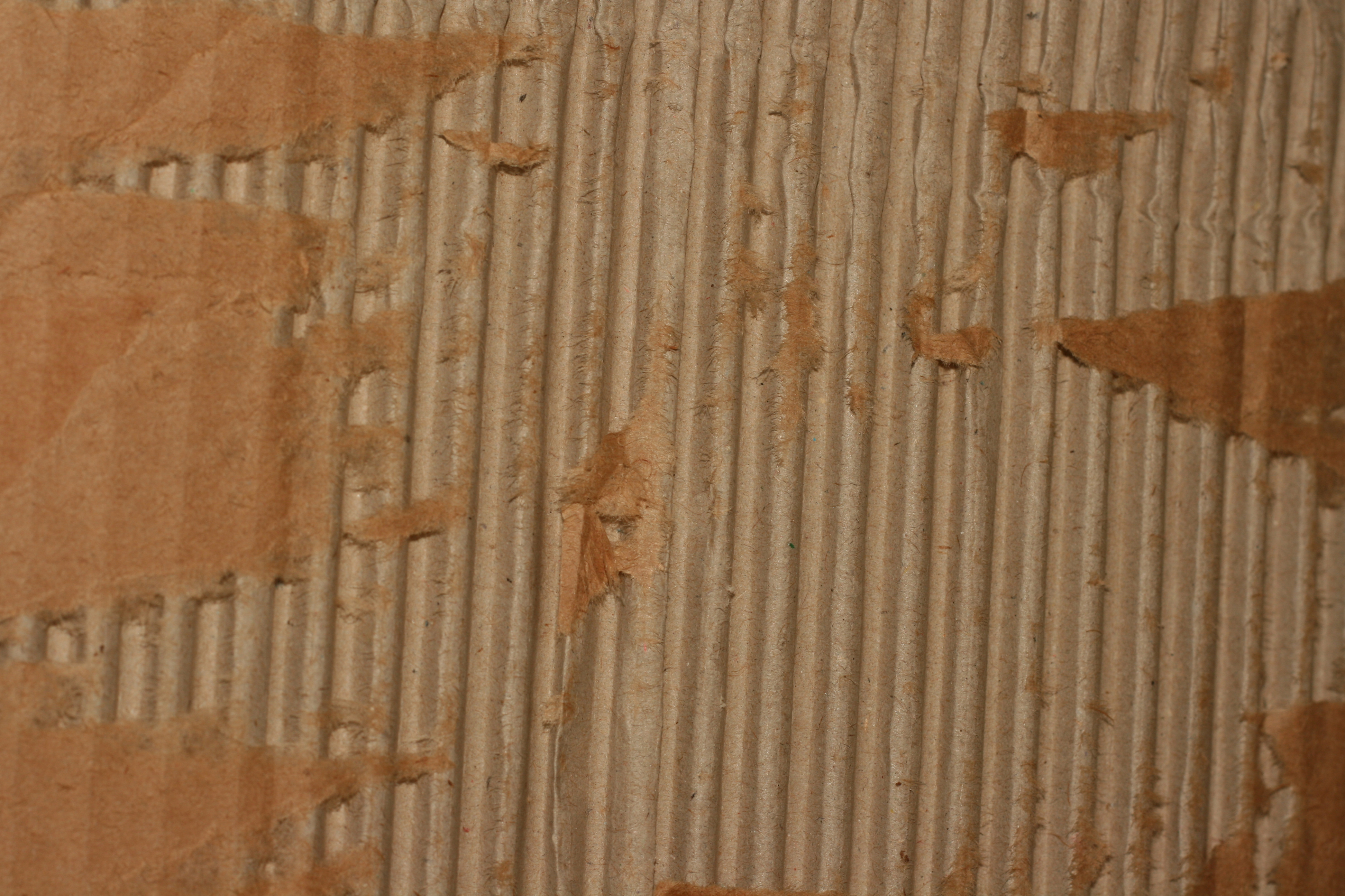 Cardboard Textures 250 Free Backgrounds to Download